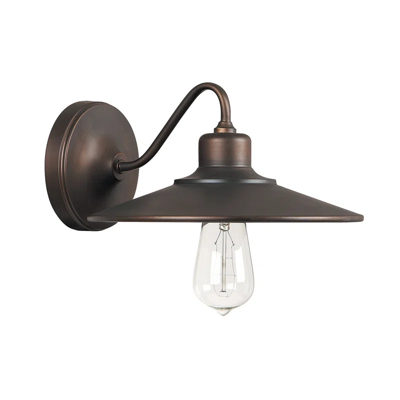 Asheville 1-Light Barn Light | Wayfair North America
