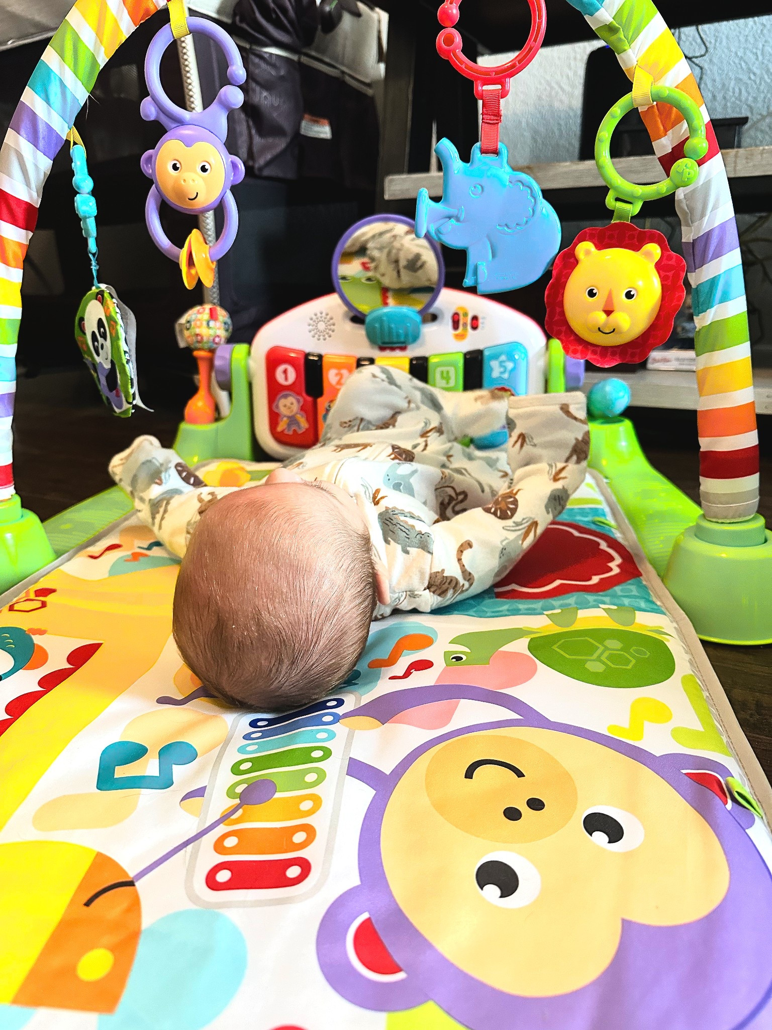 This kick n play mat has been a hit since we got it several days ago! As he’s growing and getting more curious about everything around him, Koby needed something to interact with. I love that it will grow with him and be something he can use for a few years.

#LTKFindsUnder100 #LTKKids #LTKBaby