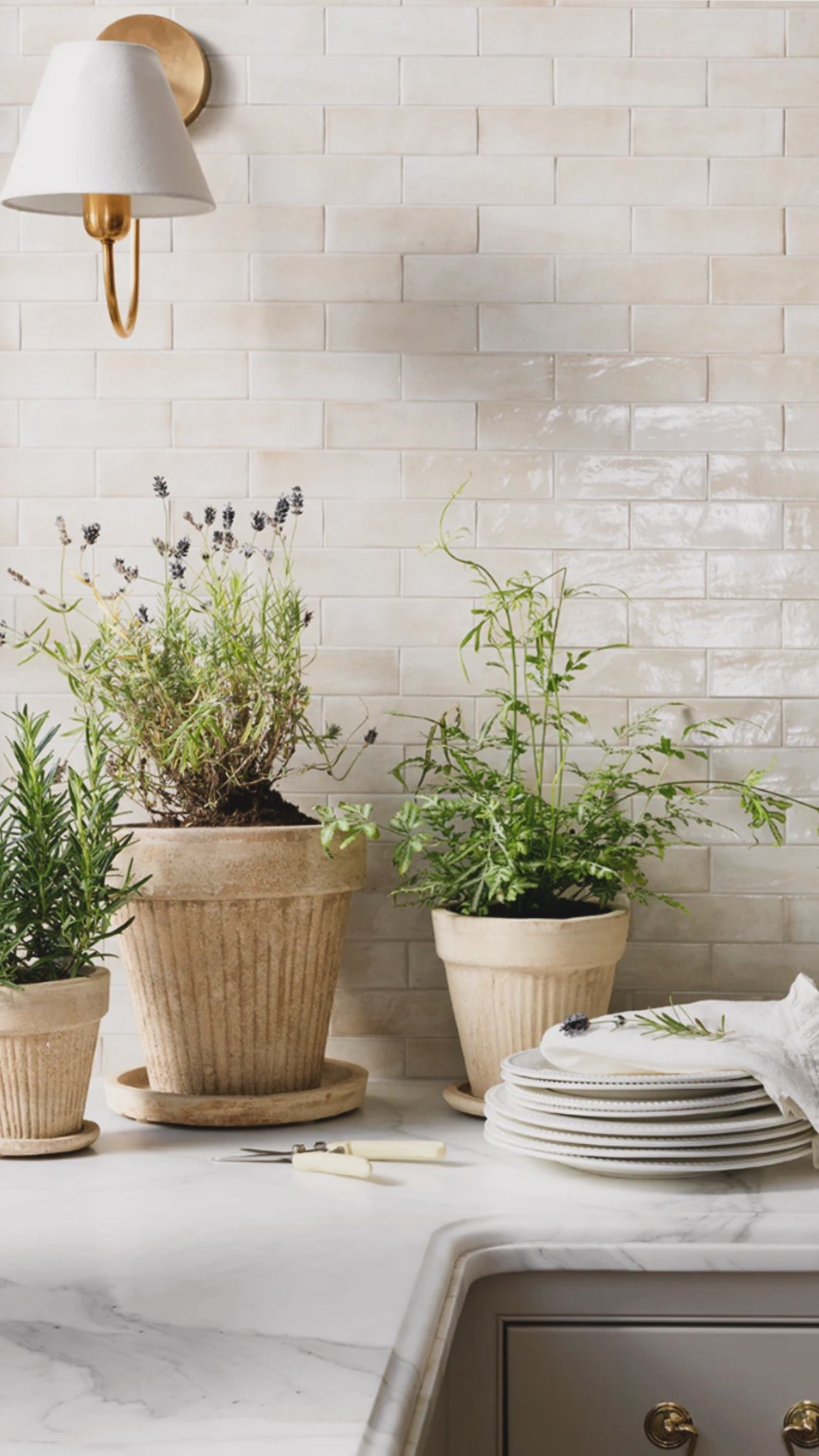 The prettiest planters 🤎

#LTKdayinmylife #LTKSaleAlert #LTKHome