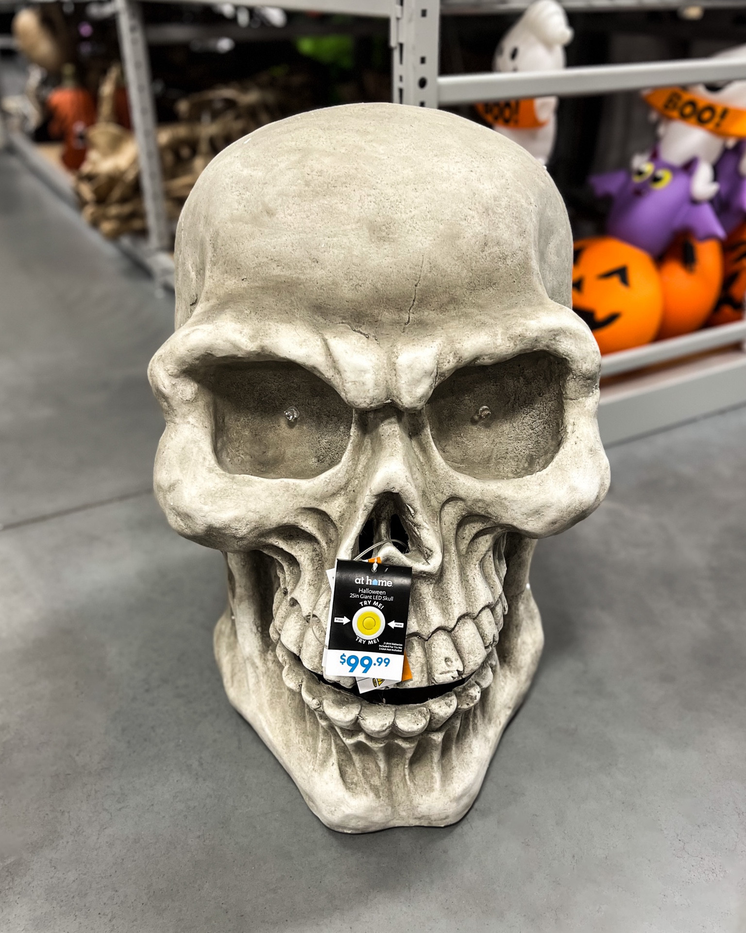 My second favorite holiday is right around the corner and I am so excited to decorate this year! Last year we were in the process of moving during Halloween so I didn’t get to do much so this will be our first Halloween at the new house and I cannot wait to put up all the Halloween decorations.  This skull is 25” tall with red LEDs in the eyes. 💀 




halloween | fall | autumn | october | halloween decor | halloween party | outdoor halloween decorations | halloween front porch | halloween front yard | haunted house | trick or treat | spooky | witches | skeletons | seasonal finds | seasonal decor | under $100 | halloween under $100 | at home 

#LTKSeasonal