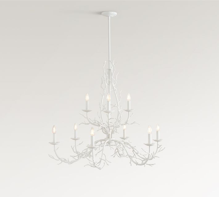 Athena Coastal Coral Shell Chandelier (42") | Pottery Barn (US)