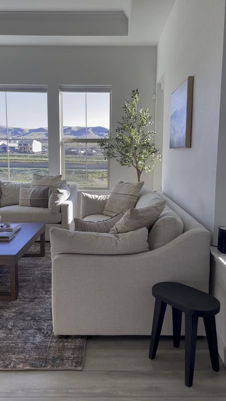 Living-room details 

Ashby Sofa 96” and 106’ 
Deep 43’ Width Cushions
Fabric Cushing Frost

#mcgeeandco #livingroomdecor #arhaus #coffeetable #organicmodern #livingroom 

#LTKhome #LTKFind