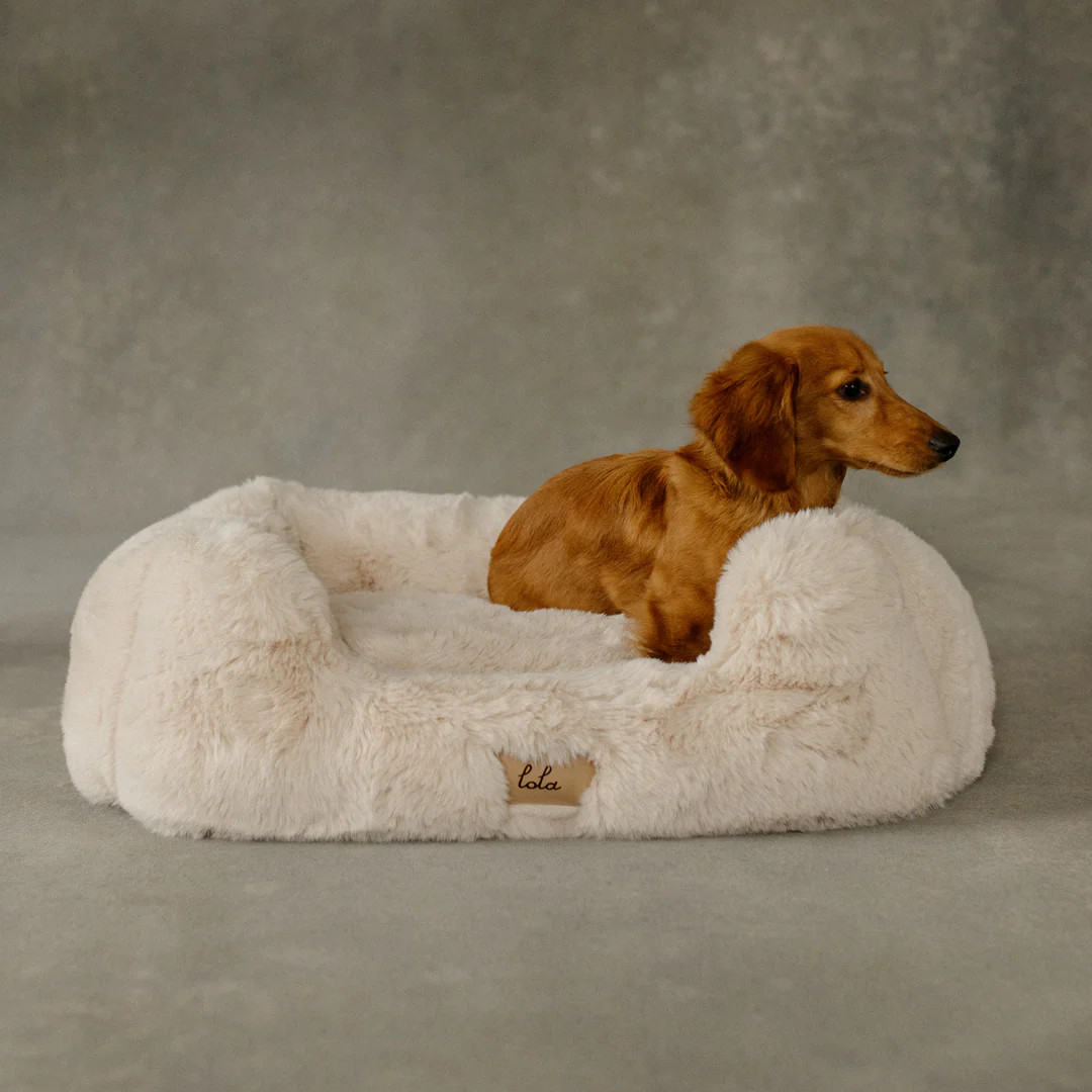 The Lola Pet Bed | Bondi Beige | Lola Blankets