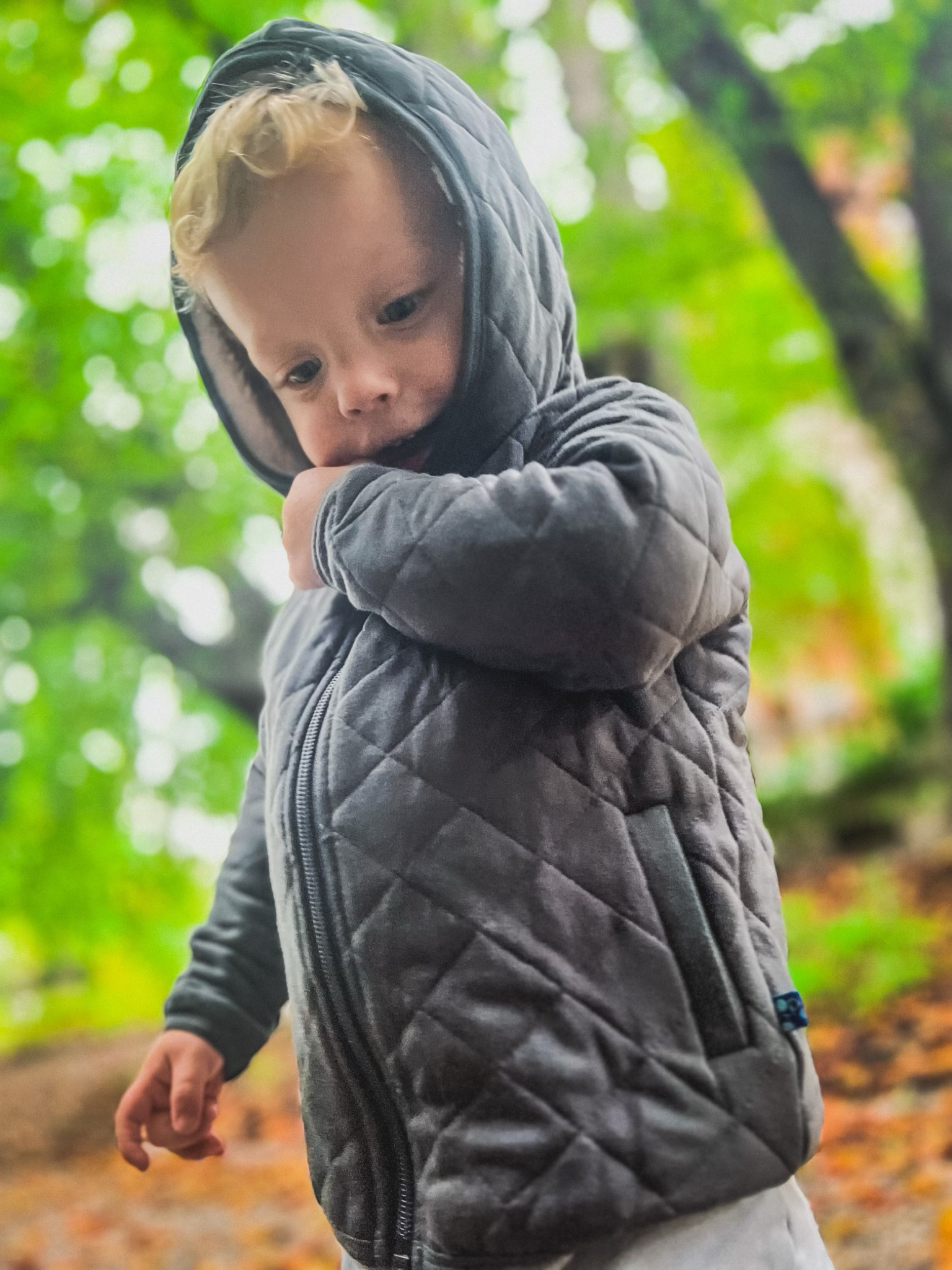 KicKee Pants Print Quilted Jacket with Sherpa-Lined Hood Kids Jacket Toddler Jacket Baby Jacket Coat

#LTKkids #LTKbaby #LTKfindsunder50