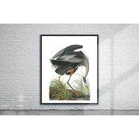 Vintage Audubon Great Blue Heron Print | Wall Art | Etsy (US)