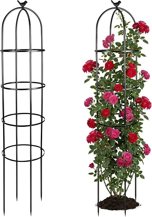 2 Pack 6 Ft Heavy Duty Metal Garden Obelisk Trellis for Climbing Plants, Rust\u2011Resistant Blac... | Amazon (US)