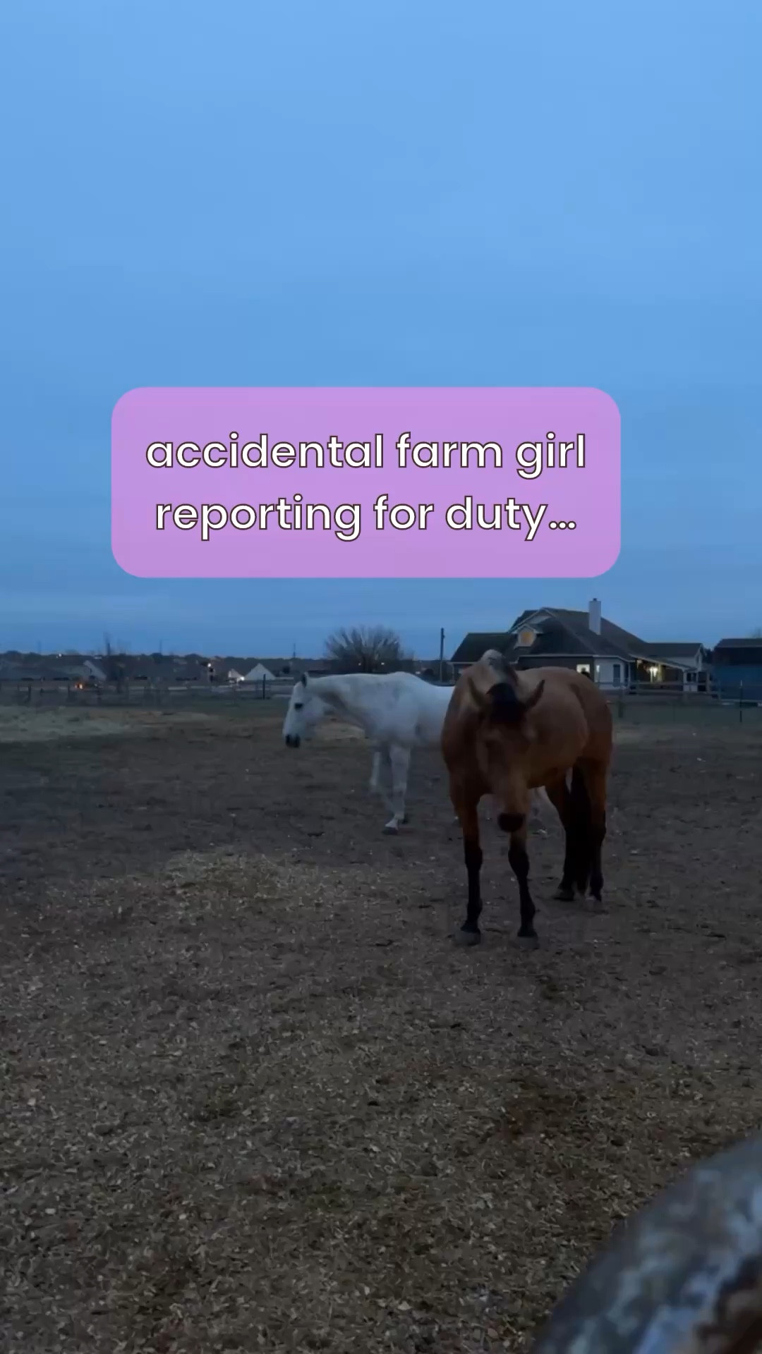 Sometimes it’s easier getting a 1,200lb horse to hit the hay than a tiny 30lb cowgirl with curlies.

And I wouldn’t have it any other way. #farmlife #horsegirls #homesteadhome

#LTKmomlife #LTKstorytime #LTKKids