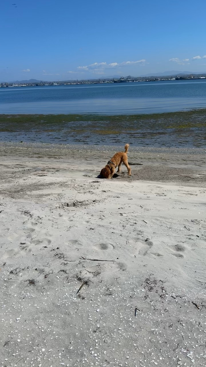 Took a break from riding to dig some holes 🐶🏁 