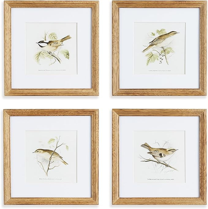 NAPA Home & Garden PERCHING BIRD STUDY PETITE ST/4 | Amazon (US)