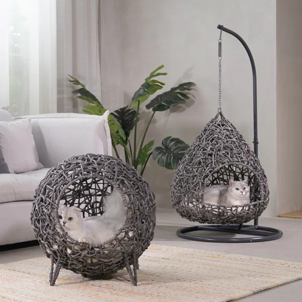 Riey Designer Oval | Wayfair North America
