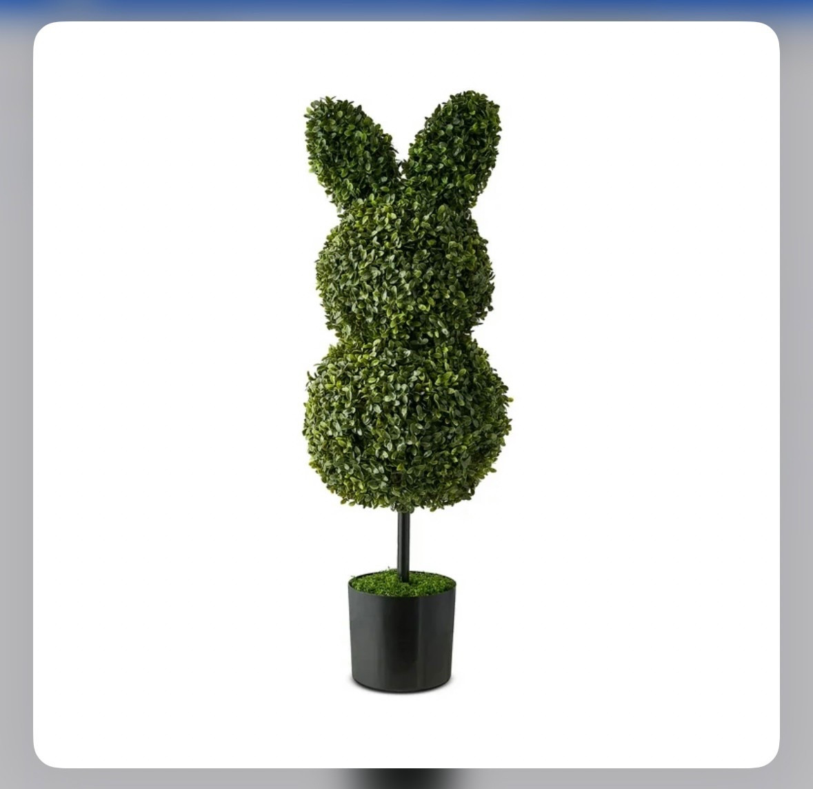 Easter topiary

#LTKSeasonal #LTKSpringSale #LTKFindsUnder50