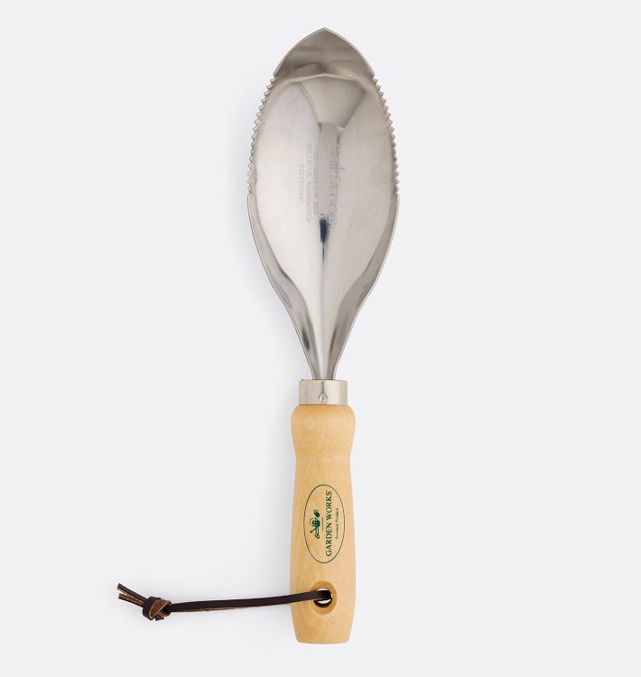 Soil Scoop | Rejuvenation