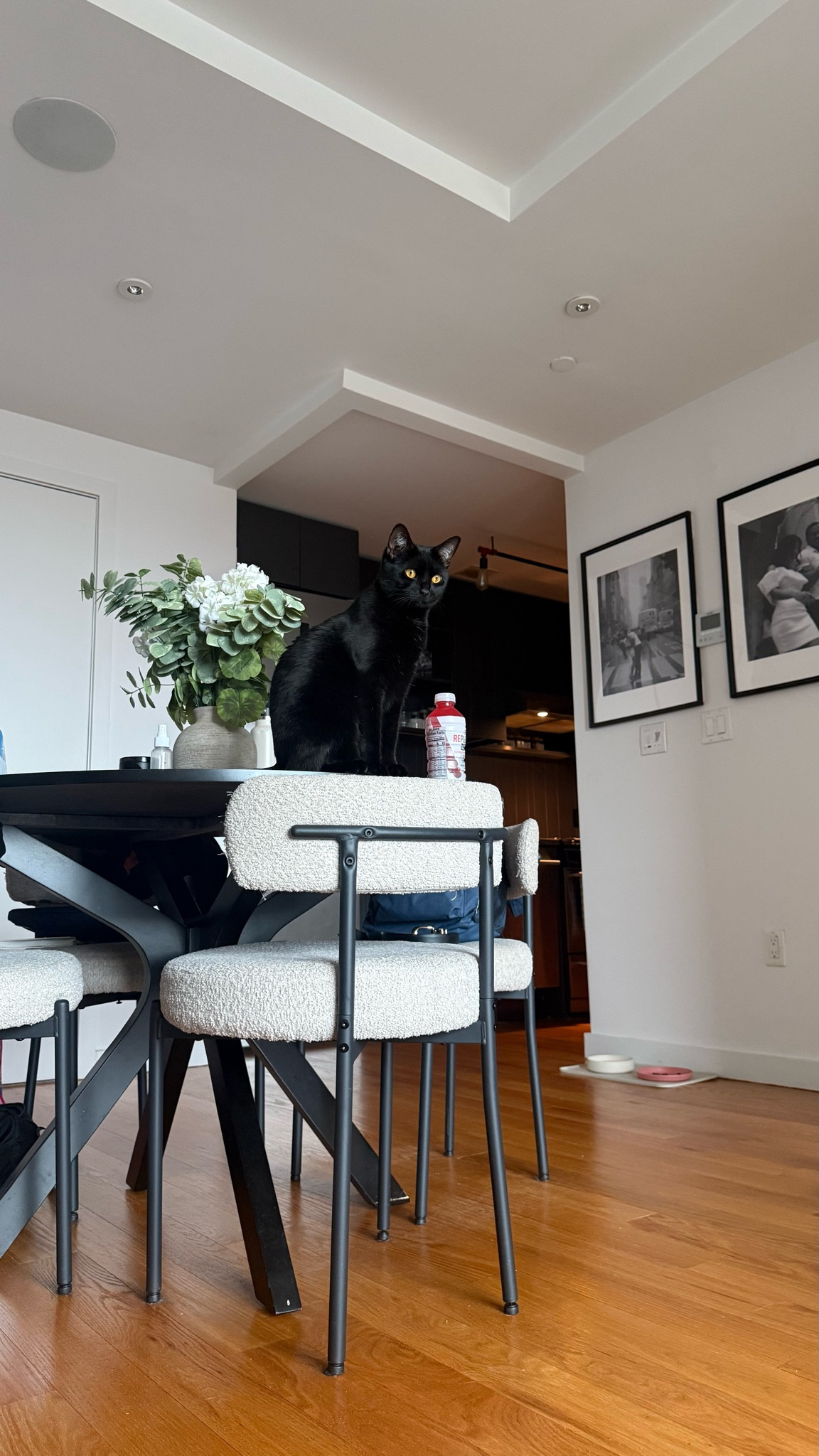 My little home decor inspector approved everything. 🖤 Shop our home favorites. #homedecor #apartmentdecor

#LTKOver40 #LTKHome #LTKdayinmylife
