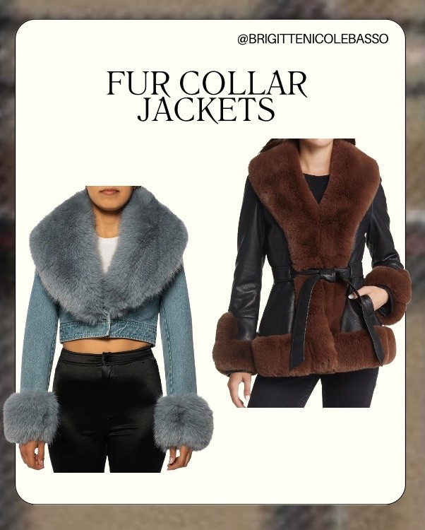 fur collar jacket
faux fur jacket
faux fur trim jacket
winter jackets for women
cropped fur jacket
leather jacket with fur collar
belted winter jacket
chic winter outfits
elevated outerwear
quiet luxury jacket


#LTKHoliday #LTKGiftGuide