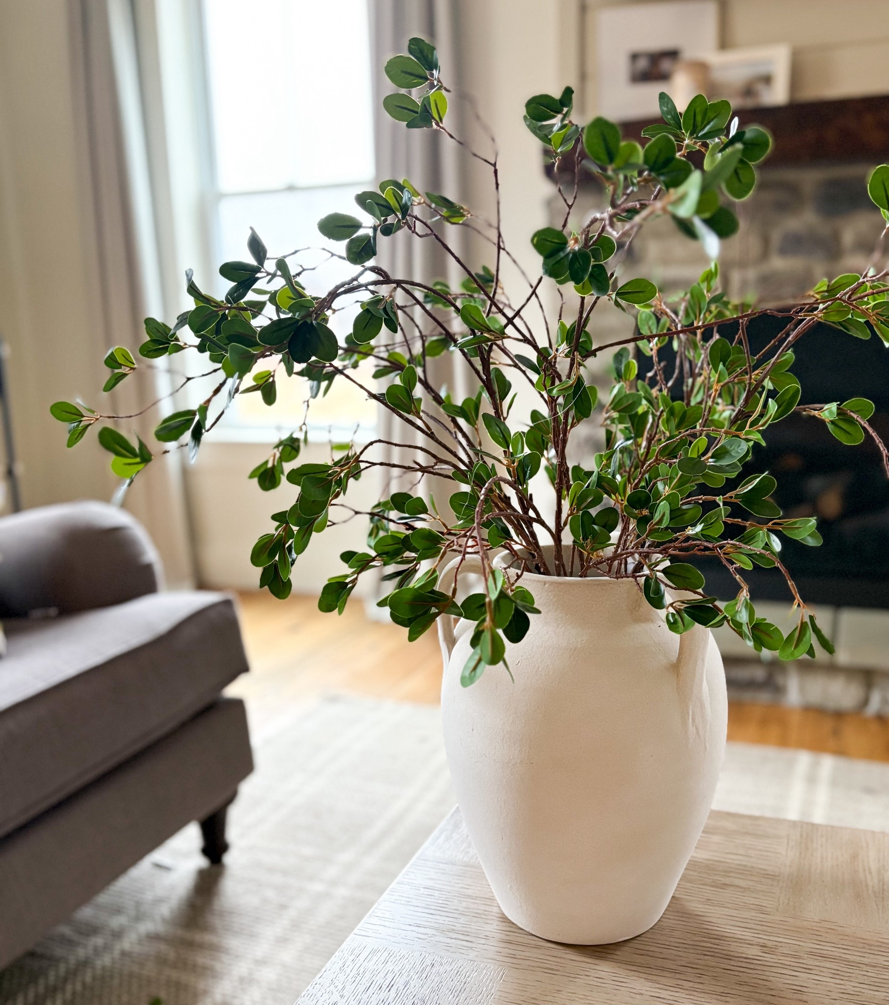 I needed some greenery since taking down my Christmas tree! These Amazon stems are quite impressive! 

#LTKSeasonal #LTKHome