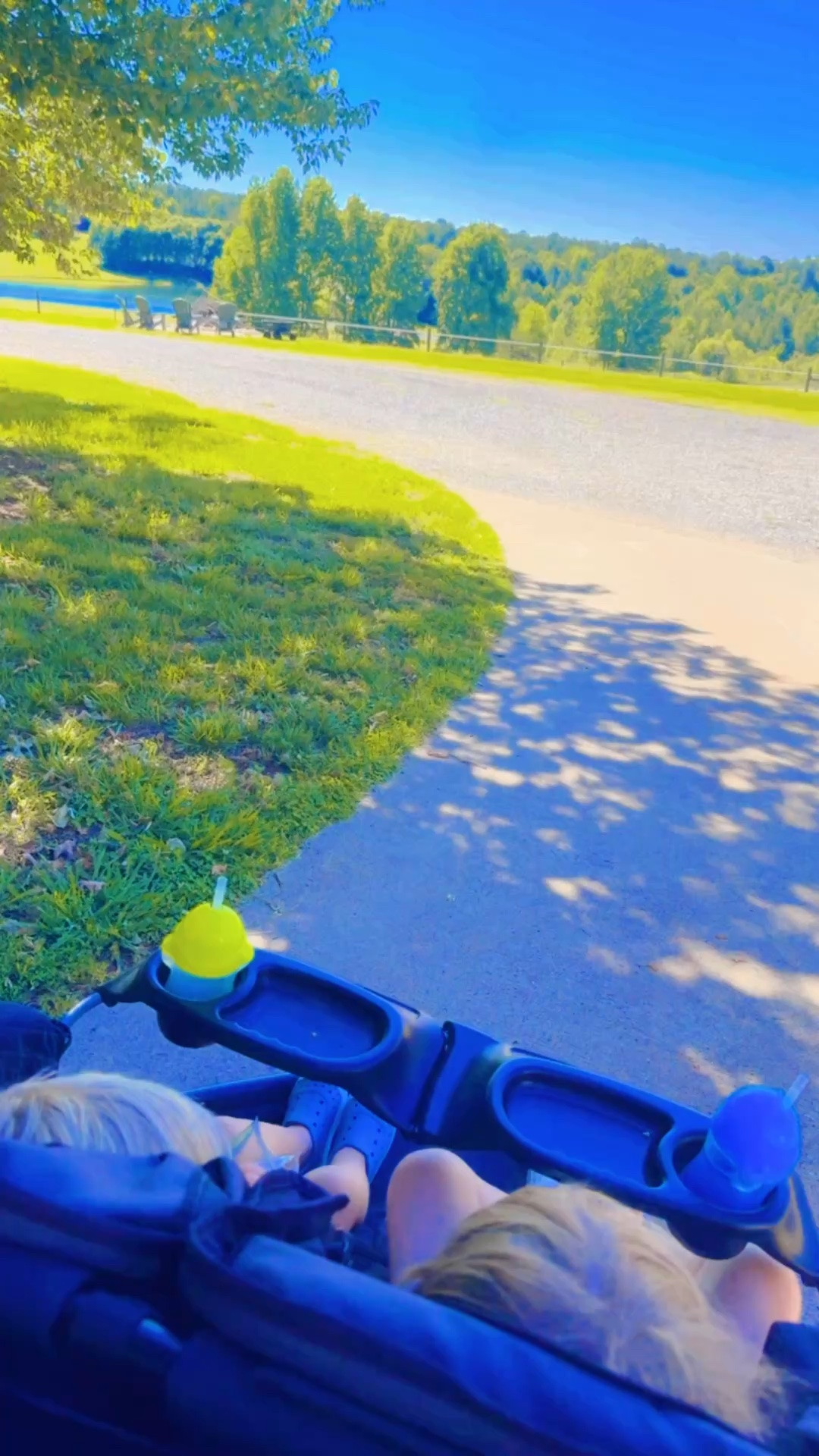 Our morning walks are extra beautiful now that it’s summertime!! ☀️🌳🌾🐴🪻