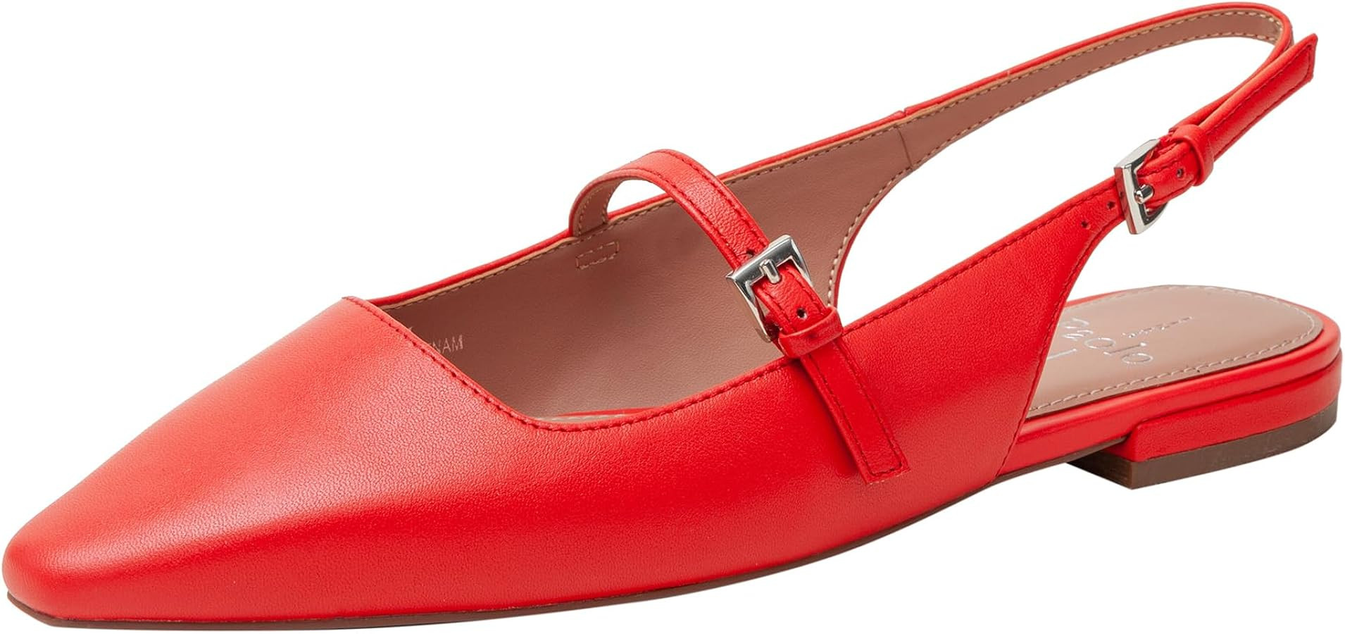 Linea Paolo | Amazon (US)