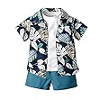 JunNeng Todder Baby Boy 3Pcs Hawaii Shorts Sets Clothes Sets,Infant Floral Leaf Summer Beach Outf... | Amazon (US)