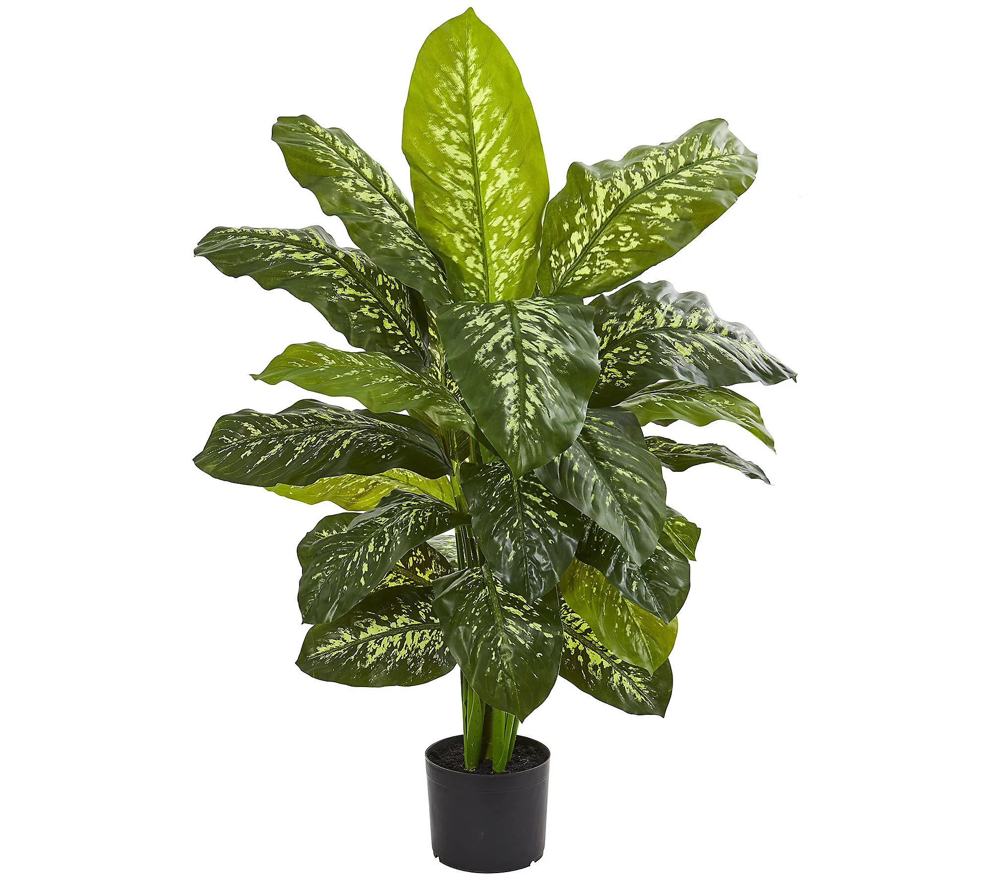 Nearly Natural 42"" Dieffenbachia Artificial Pla nt | QVC