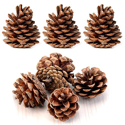Bulk Package of Natural Pinecones-24 Pack | Amazon (US)