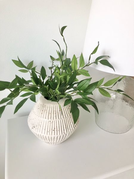 My favorite stems right now! Checkout my Instagram for tips on how to make them look more realistic!

Faux stems, spring stems, vases, affordable decor, affordable finds, home decor, tabletop decor, greenery, home design, design tips

#LTKhome #LTKunder50 #LTKFind