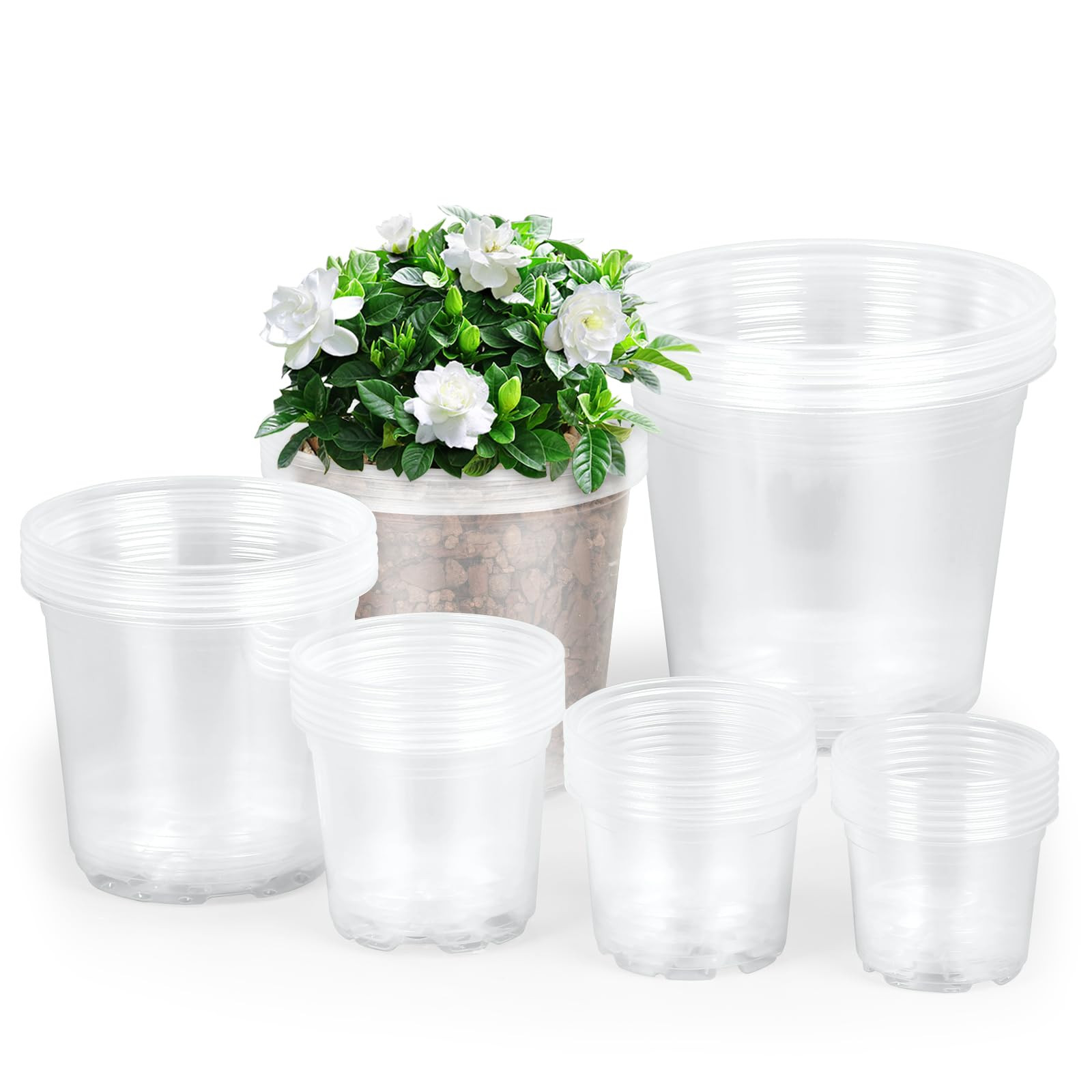 36 Packs Clear Nursery Pots for Plants, 3/3.5/4/5/6/7 Inch Plastic Pots for Plants with Drainage,... | Amazon (US)