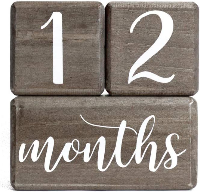 LovelySprouts Premium Solid Wood Milestone Age Blocks | Choose from 2 Stain Options (Gray) | Baby... | Amazon (US)