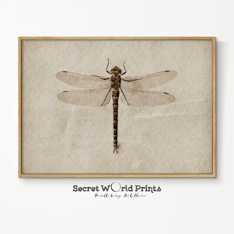 Vintage Dragonfly Painting Printable | Dark Academia Prints | Antique Insect Digital Download | I... | Etsy (US)