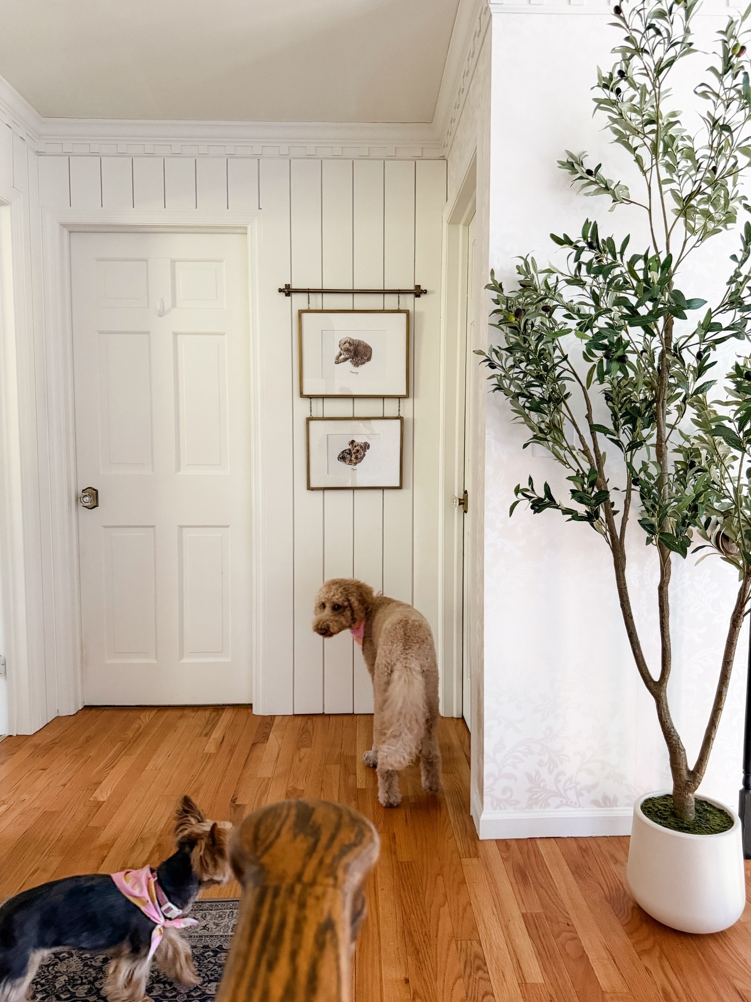 The brass rail double picture frame that everyone loves!

#LTKHome