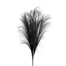 Black Pampas Grass Bush by Ashland® | Michaels Stores