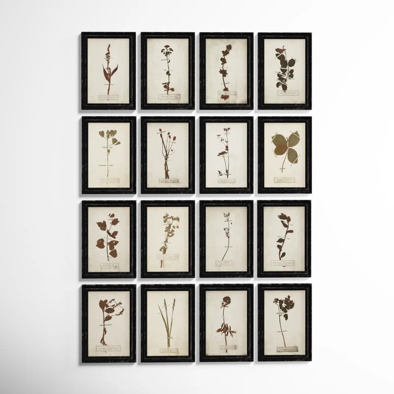 Dried Flower | Wayfair North America