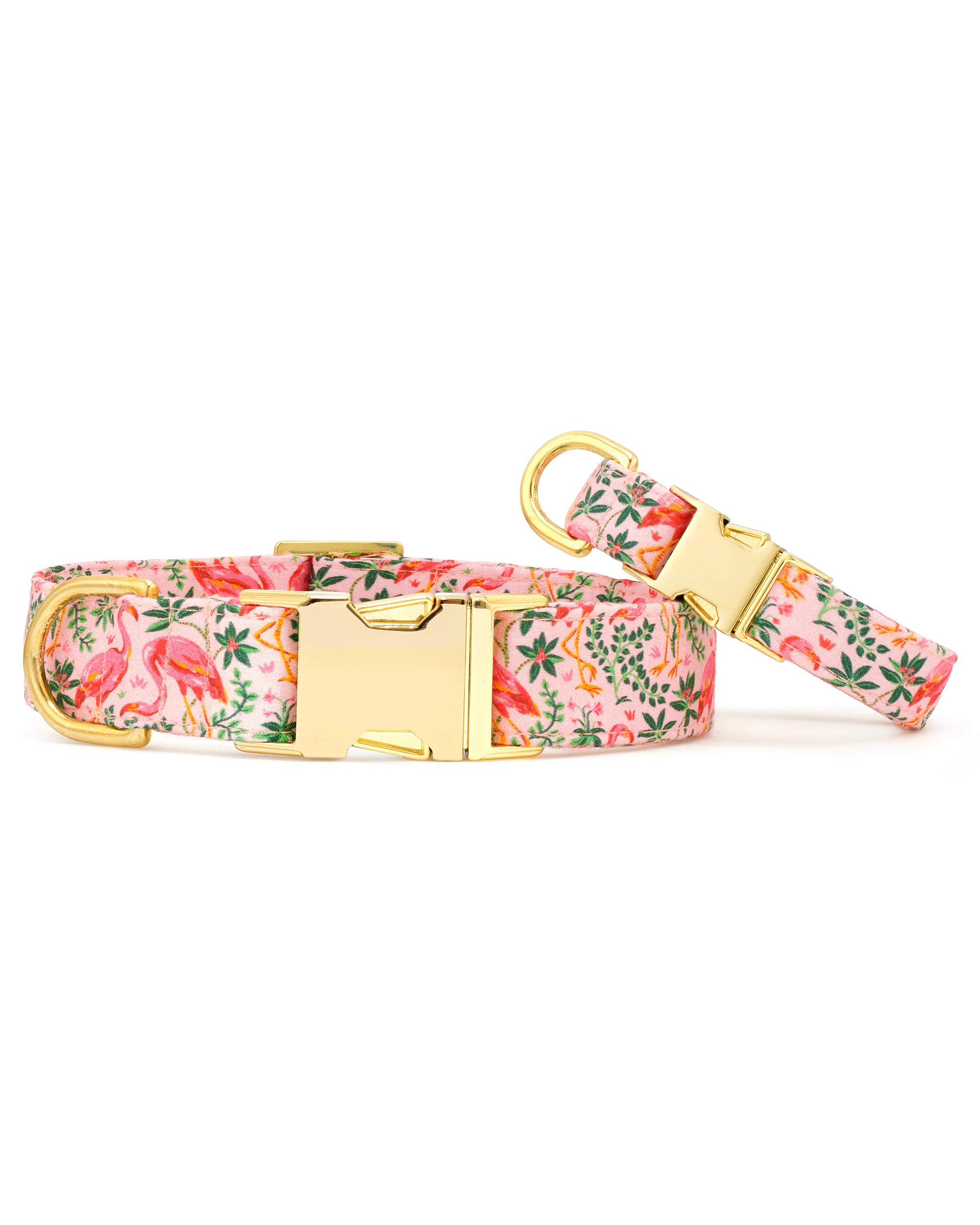 PF x The Foggy Dog Tiger Queen - Dog Collar - Jade | Printfresh