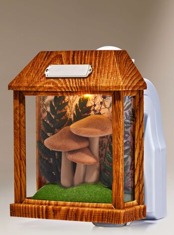 Mushroom Terrarium Nightlight


Wallflowers Fragrance Plug | Bath & Body Works
