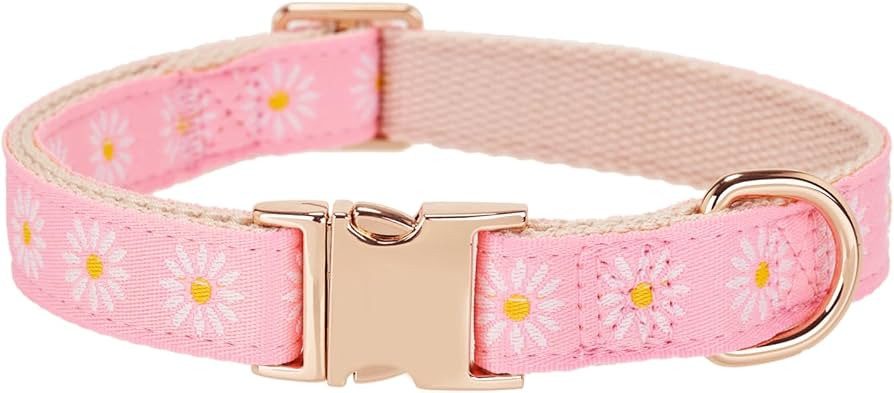 Woven Dog Collar with Metal Buckle Adjustable Jacquard Retro Dog Collars for Small Medium Large D... | Amazon (US)