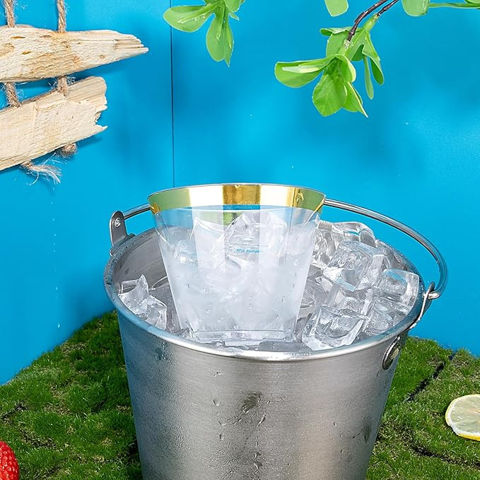 Hioasis 200PCS Gold Plastic Cups,9Oz Gold Rimmed Plastic Cups,Clear Plastic Cups with Gold Trim,H... | Amazon (US)