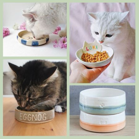 Cute Cat Bowls: The Best Personalized Pet Bowls from Etsy 😻🍽️🎉 When it comes to even the most mundane of pet supplies like food and water bowls, don’t settle for plain old designs. I am happy to report that there are plenty of adorable options for cute cat bowls out there! Here, I’m sharing the cutest cat bowls available on Etsy.

#LTKhome #LTKSeasonal #LTKfamily