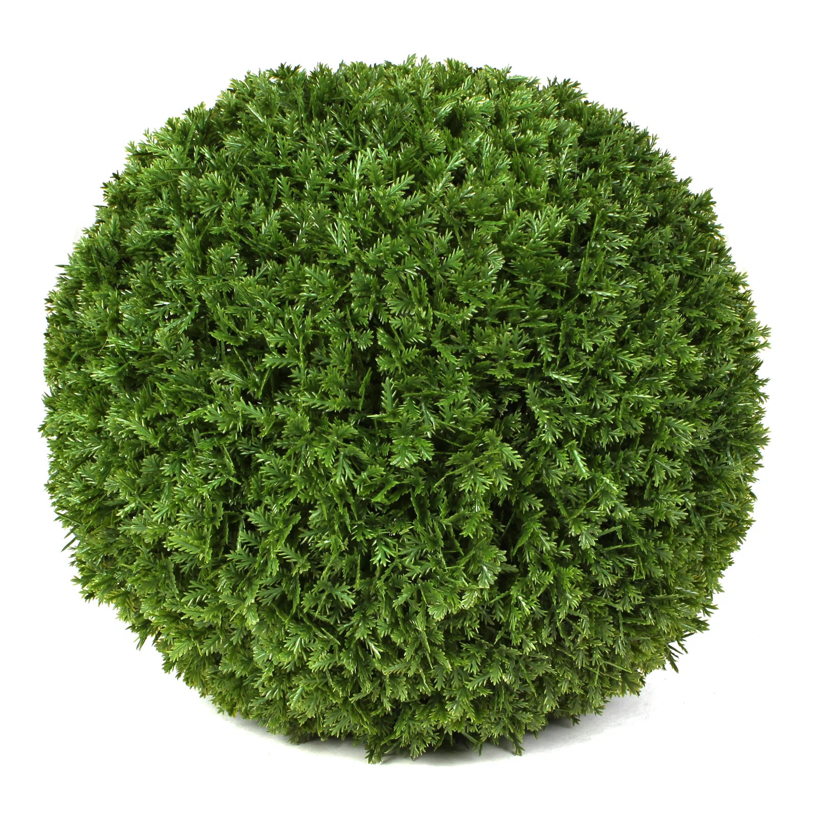 3rd Street Inn 7'' Artificial Cypress Topiary | Wayfair | Wayfair North America