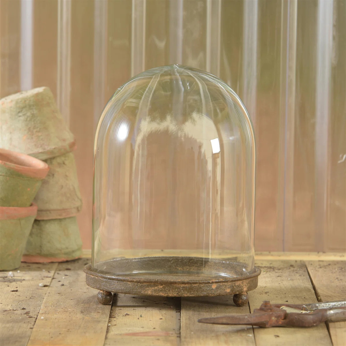 Kenilworth Cloche Vitrine | Wayfair North America