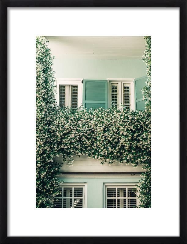 Jasmine | Artfully Walls