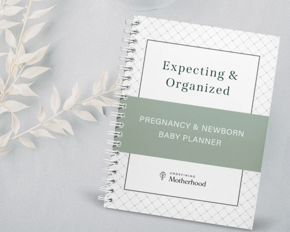 Pregnancy Planner With Tabs and Pregnancy Checklists Best - Etsy | Etsy (US)