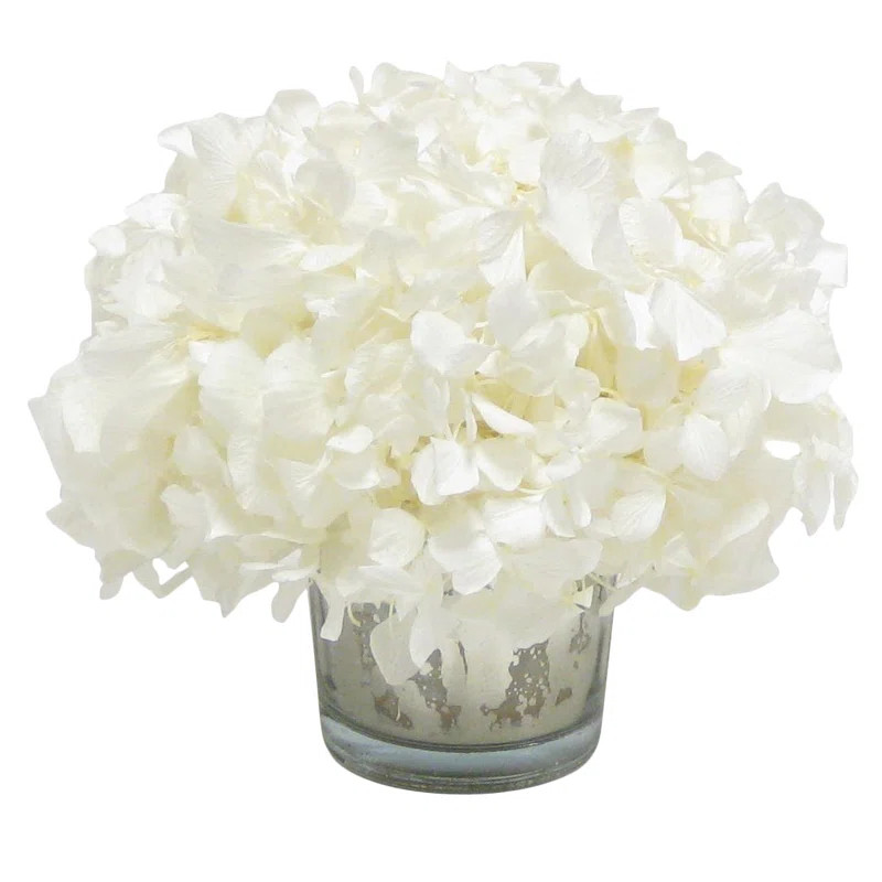 Mini Preserved Hydrangea Floral Arrangement in Vase | Wayfair North America