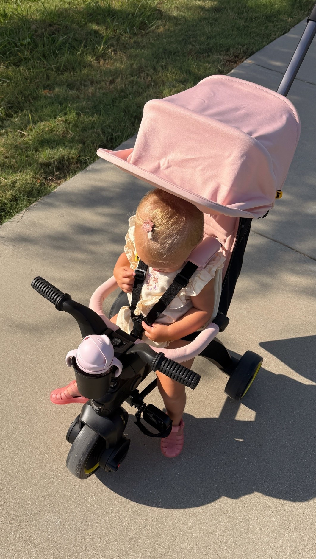 my daughters favorite first birthday gift !!!