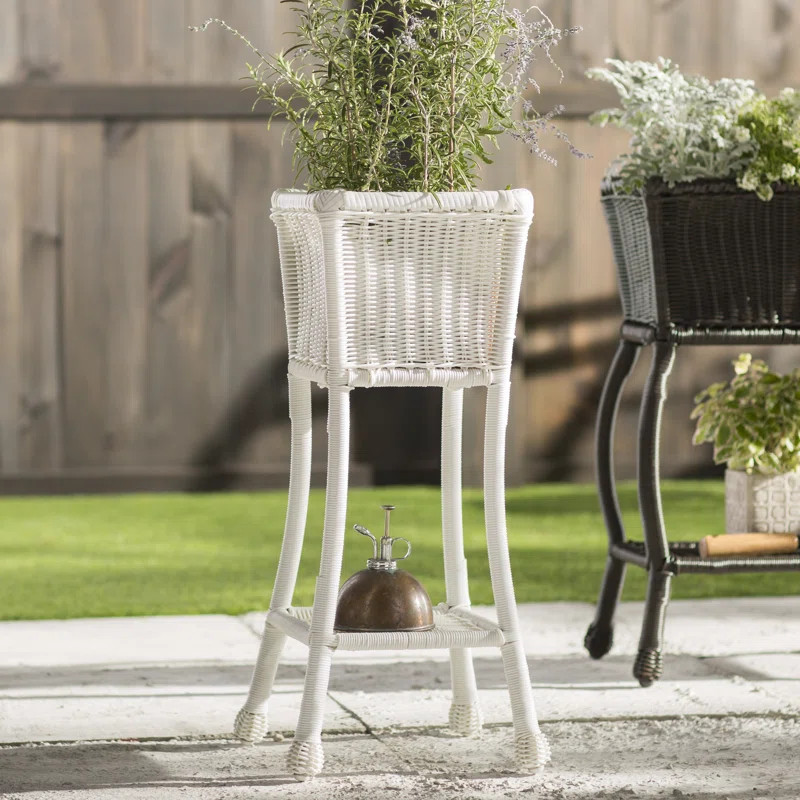 Arved Plant Stand | Wayfair North America