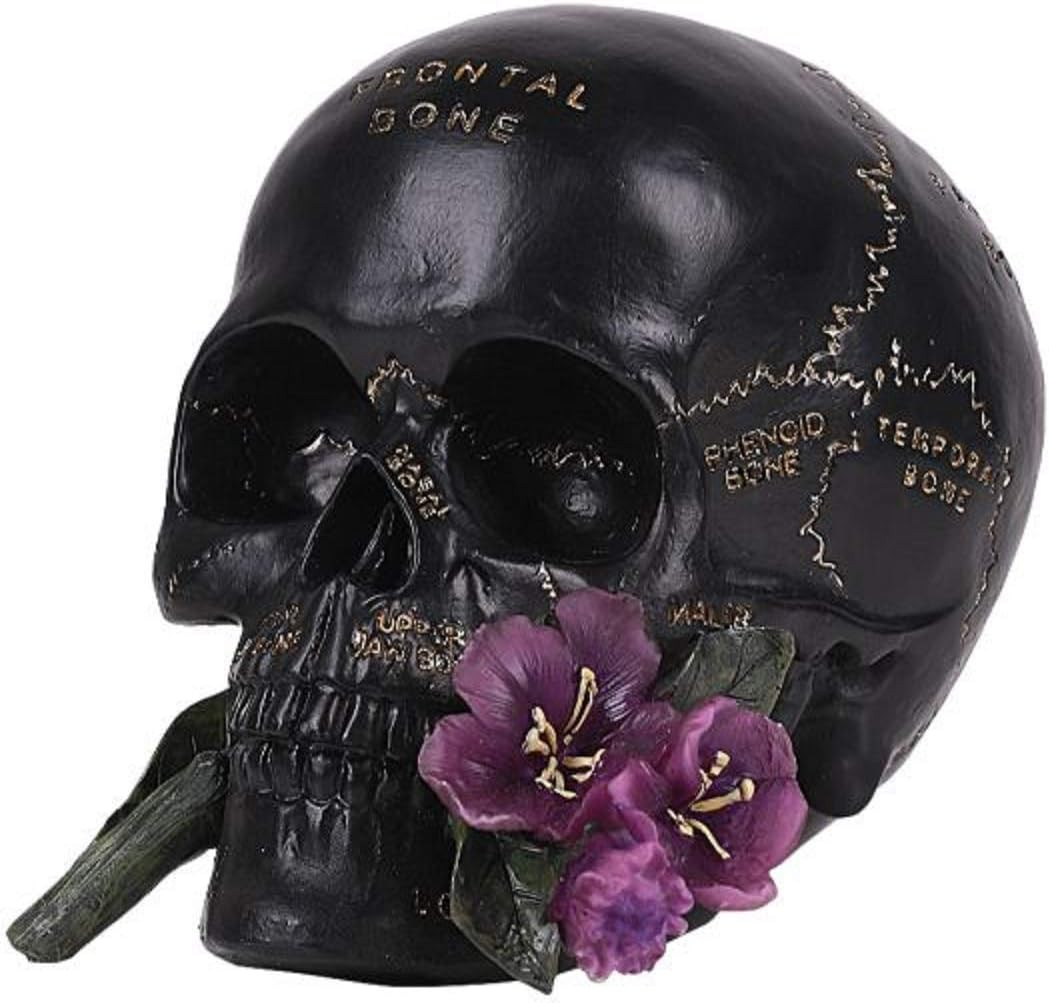 Pacific Giftware | Amazon (CA)