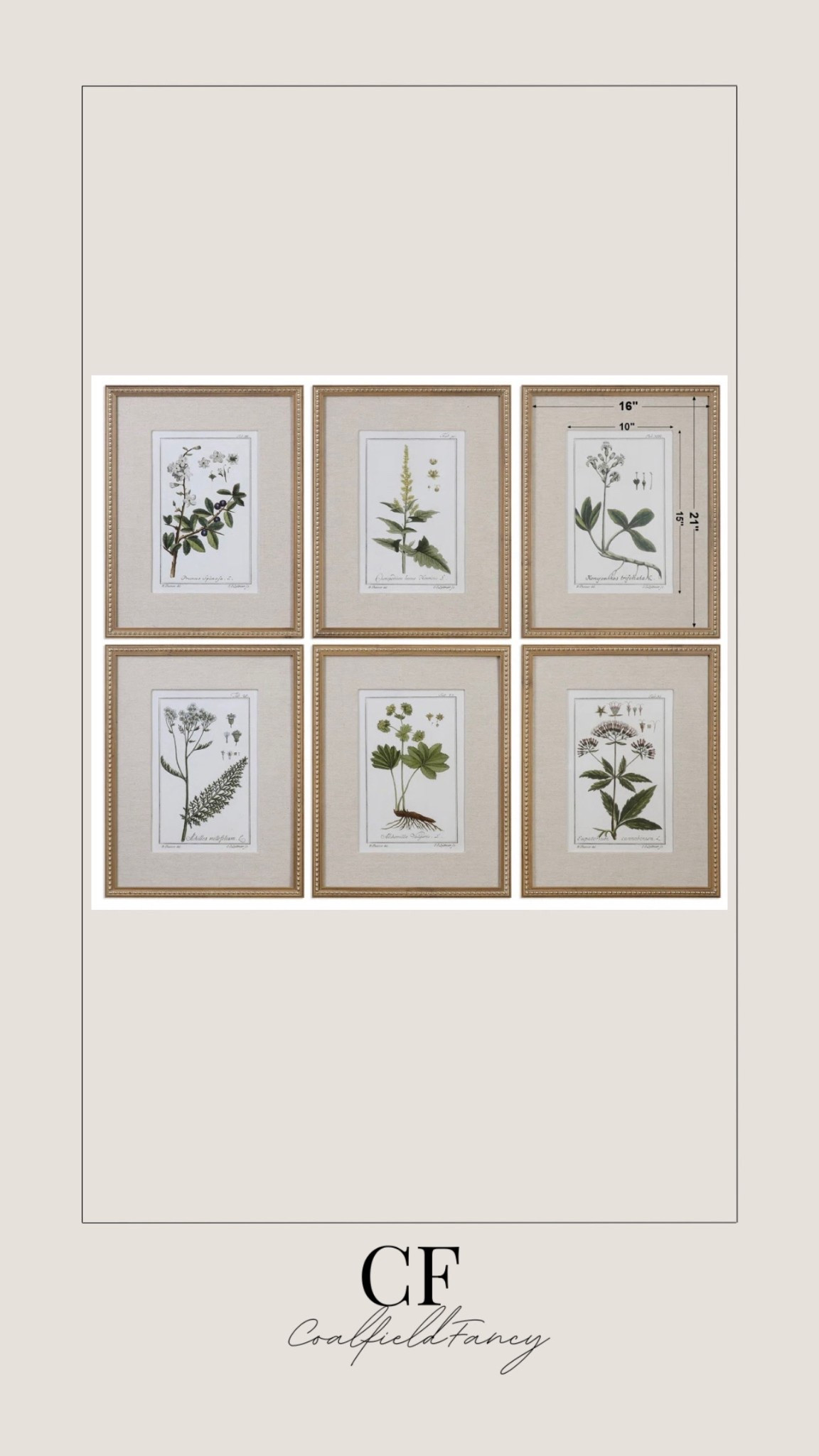 Botanical prints
Gallery wall

This 6-piece graphic art set brings the beauty of nature to any accent wall. Originally created by Grace Feyock, "Green Floral Botanical Study" is printed on paper in green and gray hues against a white background. Each piece showcases a different plant, with details about its growth cycle and its scientific name printed below it. Decorative golden frames surround them, and they work equally well mounted in a grid or spread out as part of a greater gallery wall.
Informative yet aesthetic, they're the ideal addition to any nature lover's home.

#LTKHome