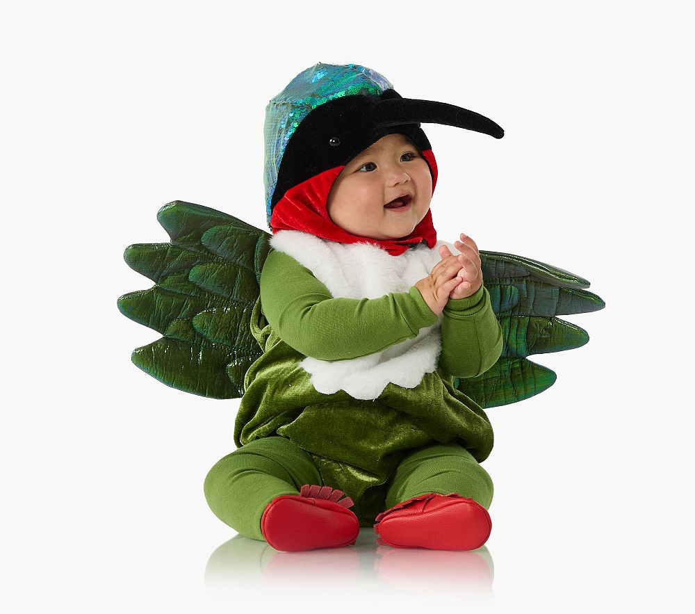 Baby Hummingbird Costume | Pottery Barn Kids