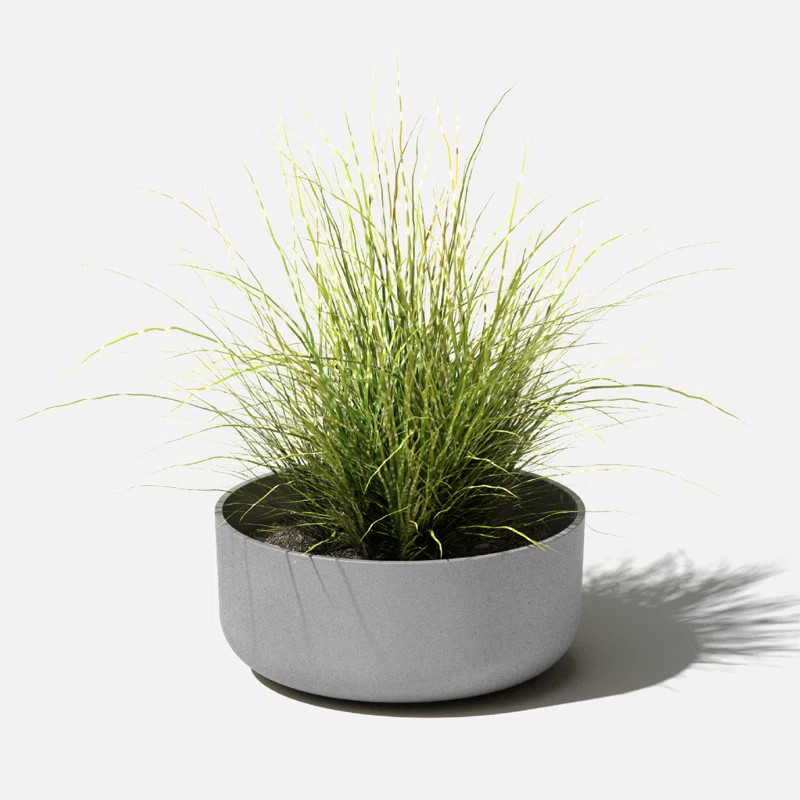 Pure Series Bowl Planter | Wayfair North America