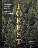 Forest: (Tree Photography Book, Nature and World Photo Book)     Hardcover – Illustrated, March... | Amazon (US)