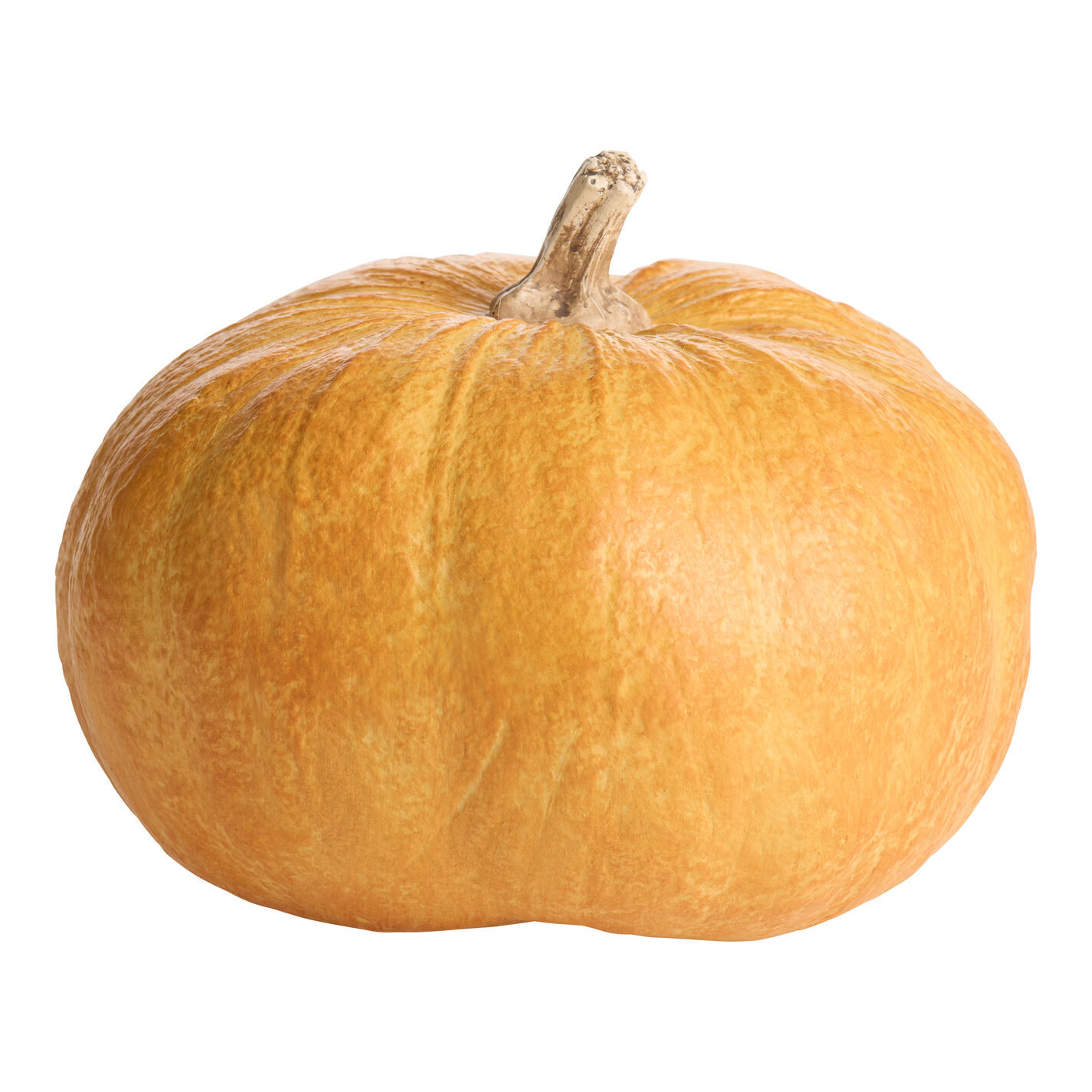 Colorful Resin Pumpkin Decor | World Market