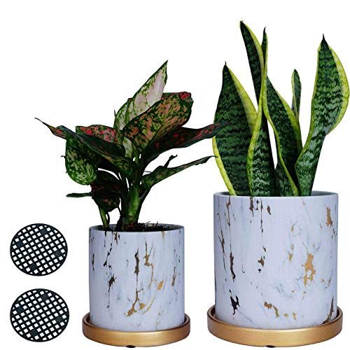 Marble Plants Pots,Ceramic Planter Pots with Drain Hole and Tray for Succulents/Plants/Flowers. | Walmart (US)
